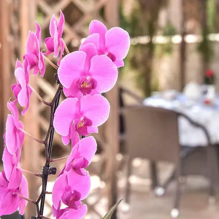 Buena Vida By Interhome Tatil Evi