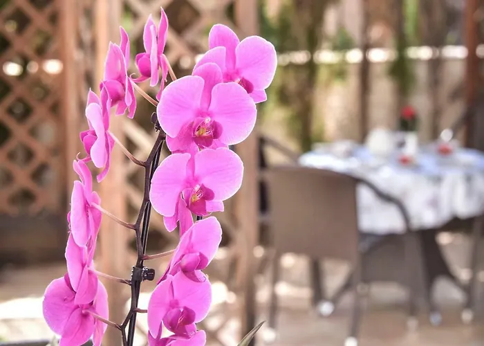 Buena Vida By Interhome Tatil Evi